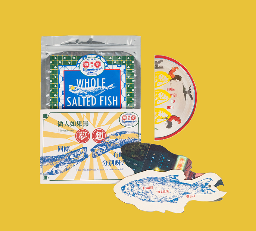 DreamBigSaltedFish3 2mb